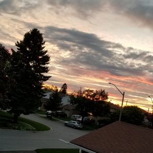 Meet your Posher, Hanan